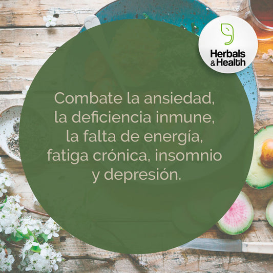 Ashwagandha Cápsulas - Herbals & Health