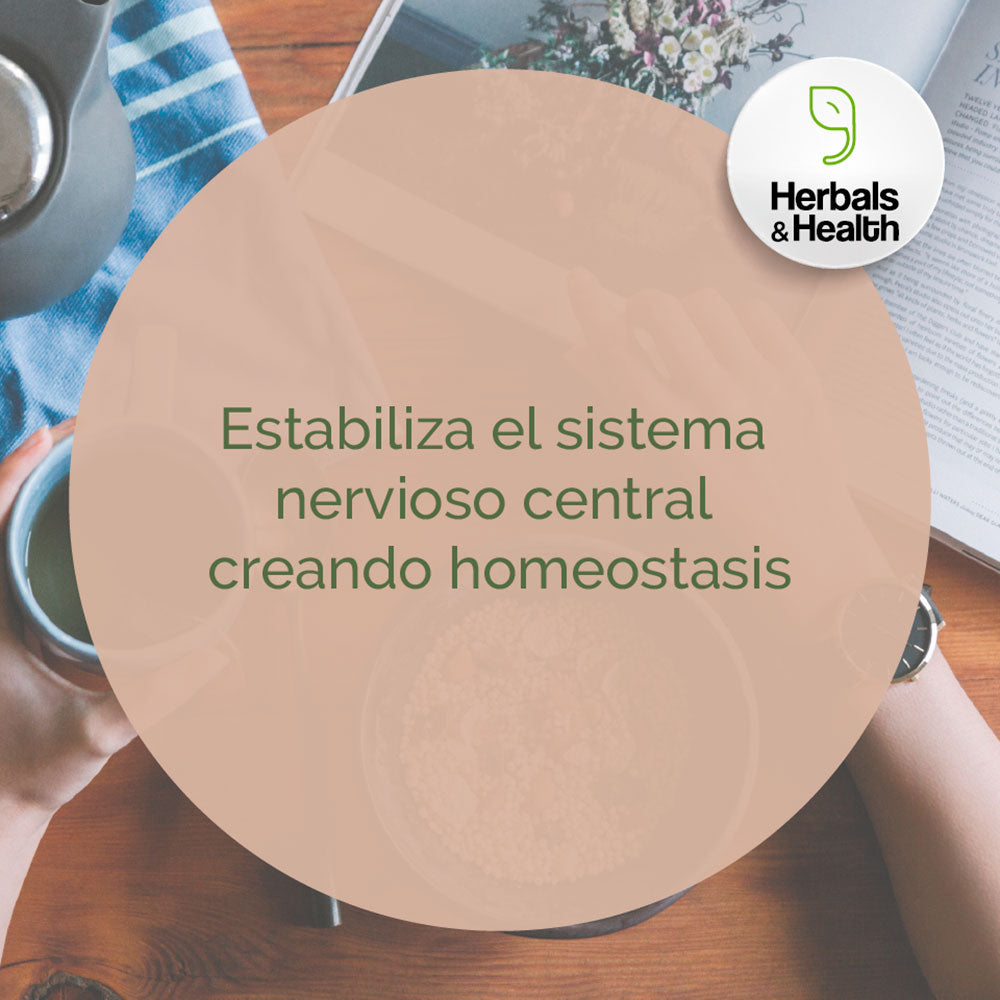 Ashwagandha Cápsulas - Herbals & Health
